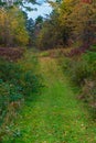 Straight hiking path through the Michigan woodland during the fall color season