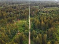 A straight hiking trail through the forest. Green recreation area Perlacher Forst near Munich