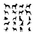 Straight Line Icon Set Dog Royalty Free Stock Photo