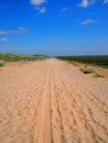 Straight long dry sand road with tire tracks and footprints extending to the horizon surrounded by grass covered dunes with a br Royalty Free Stock Photo