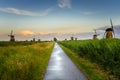 Straight Narrow Footpath at Sunset