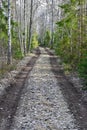 straight narrow forest road in Kumla Sweden