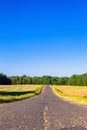 Straight old asphalt road running through the field and abutting in the distance into a deciduous forest Royalty Free Stock Photo