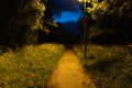 A straight path just after sunset with a street lamp. With Venus in the night sky