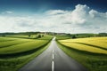 Straight Path in Nature: A direct road stretches across lush green fields under the bright sky with small clouds on a Royalty Free Stock Photo