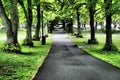 Straight path shaded by trees in the famous public gardens of Halifax on a summer day