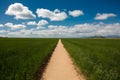 Straight path signifies new years journey towards exciting destinations Royalty Free Stock Photo