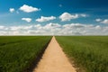 Straight path signifies new years journey towards exciting destinations Royalty Free Stock Photo
