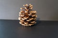 Straight pine cone