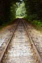 Straight Railroad Tracks Royalty Free Stock Photo