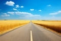 Straight road amid golden wheat fields. Peaceful countryside view with serene rural charm