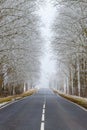 Straight road in the countryside. Trees in hoarfrost. Seasonal