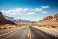 Straight road through the desert with bushes growing on both sides of the road