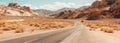 Straight road through the desert with bushes growing on both sides of the road