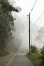 Straight road in the mountains with fog in a cold winter day