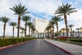 Straight road with rows of palm trees right and left Royalty Free Stock Photo