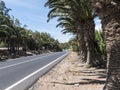 Straight road surrounded by palm tress. Royalty Free Stock Photo