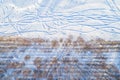 Straight rows of bare trees with long shadows along a snowy field