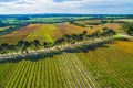 Straight rows of vines and scenic countryside. Royalty Free Stock Photo