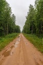 Straight sandy rural road with puddles through a green forest with lots of vegetation. Rainy summer day with gloomy sky. Nature Royalty Free Stock Photo