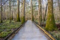 Straight Section of Board Walk The The Marsh at Congaree National Park Royalty Free Stock Photo