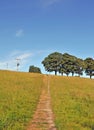 A narrow stone pathway leading to the top of a hill in a summer meadow with a line of green trees and bright sunny sky Royalty Free Stock Photo