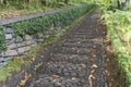 Straight stone pathway