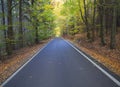 Straight Stretch of a Asphalt road through colorful deciduous forest in the autumn with fallen leaves of oak and Maple Royalty Free Stock Photo