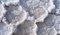 Straight-on texture of dried sea salt crust forming irregular mineral surface Royalty Free Stock Photo