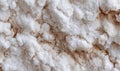 Straight-on texture of dried sea salt crust forming irregular mineral surface Royalty Free Stock Photo