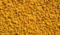Straight-on texture of dried split peas surface, matte yellow granular patterna Royalty Free Stock Photo