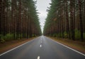 A straight, two-lane road stretches through a dense pine forest. Tall Royalty Free Stock Photo