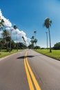 Straight two-way highway with a yellow median strip and palm trees Royalty Free Stock Photo