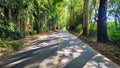 straight two-way road in the middle of the forest Royalty Free Stock Photo