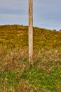 Straight on view of lower half of telephone pole in hilly fields