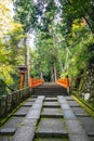 A straight walking trail through a forest and over a Japanese bridge in the fall with hints of colors