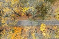 Straight walkway through colorful autumn park in cloudy day. aerial photo