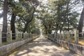 The straight walkway in front of the historical Horyu Ji