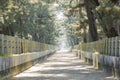 The straight walkway in front of the historical Horyu Ji