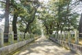 The straight walkway in front of the historical Horyu Ji