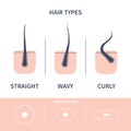 Hair growth types chart set of straigt, wavy and curly strands