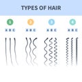 Hair types chart set of strands growth patterns