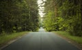 Straight, wavy road through a forest Royalty Free Stock Photo