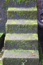 Straight Wet Steps with Algae and Mold - Poor Indoor Environment - Haunted and Horror - Sick Building Syndrome