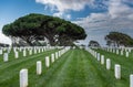 Straight white lines, Rosecrans Cemetery, San Diego, CA, USA Royalty Free Stock Photo