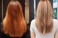 Before And After Straightening Treatment On Sick, Cut And Healthy Hair Transformation From Warm To C