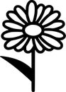 Daisy - black and white vector illustration