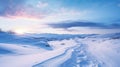 Snow Covered Road in Snowy Field