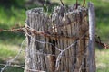 Strainer Fence Post with Wire Royalty Free Stock Photo