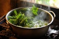 straining nettle leaves from boiling water